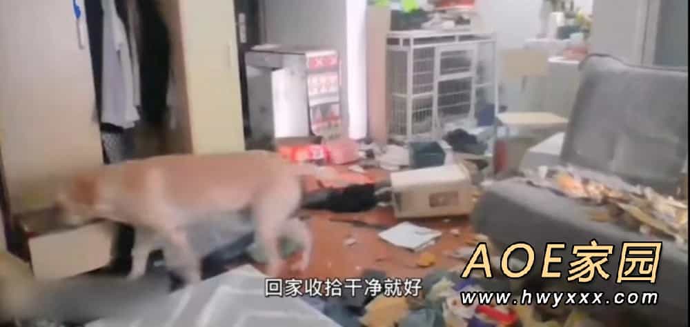 女子隔离14天通过监控看狗子把家拆完 好气好绝望