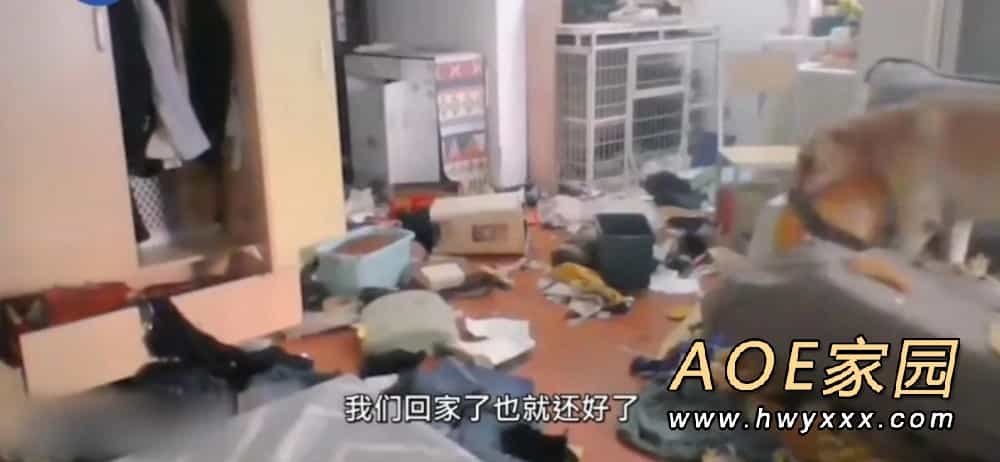 女子隔离14天通过监控看狗子把家拆完 好气好绝望