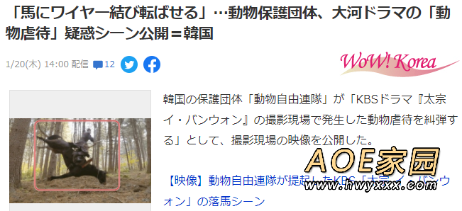 动物保护组织抗议韩剧《太宗李芳远》虐马 故意绑绳子摔马