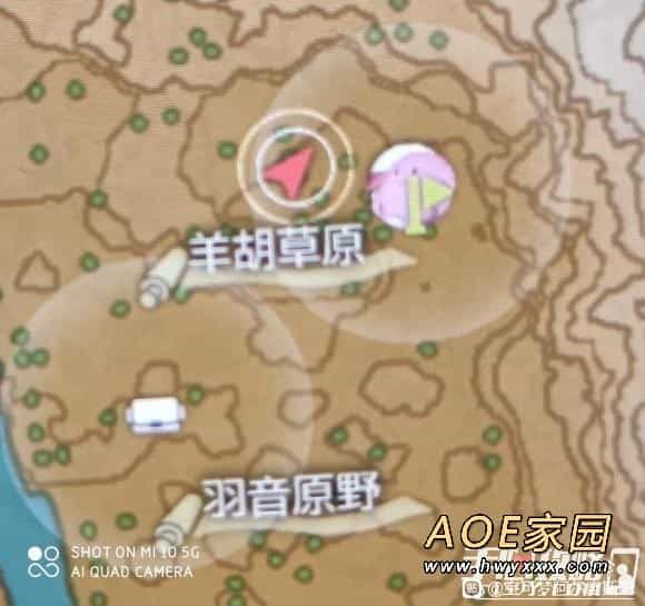 《宝可梦传说阿尔宙斯》帕琪利兹在哪里抓