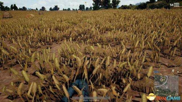 3dmgame