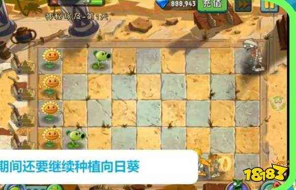 植物大战僵尸怎么玩 植物大战僵尸玩法教学
