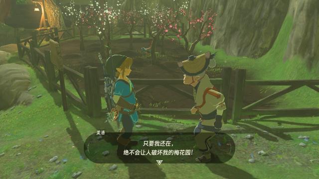 被盗的宝珠(塞尔达传说卡卡村隐藏神庙)