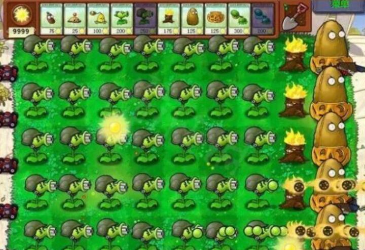 666.jpg
