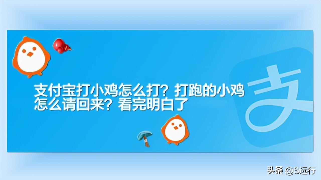 蚂蚁庄园怎么揍别人小鸡2022（怎么主动揍别人支付宝的小鸡 ）